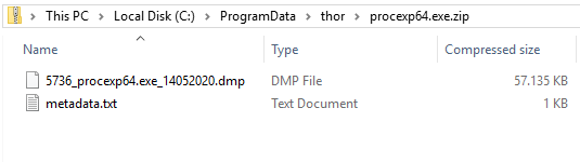 Process dumps on disk