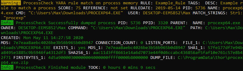 Process dumping